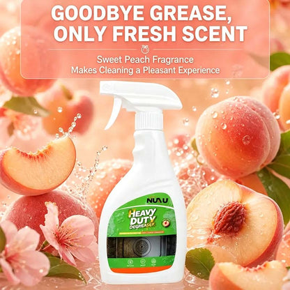 [BUY 1 GET 1 FREE]Heavy duty degreaser-Range Hood Cleaner Spray🧼🚀